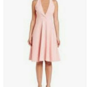 Halston Heritage Blush Deep V Dress